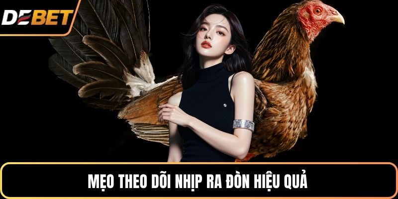 Mẹo theo dõi nhịp ra đòn hiệu quả 